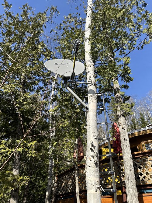 Satellite installation at a wooded site